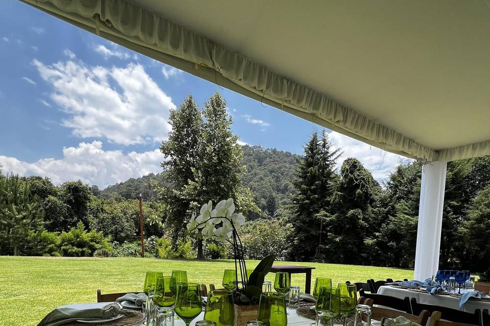 Jardines bautizo