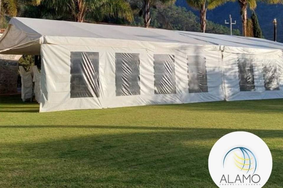 Carpa elegante