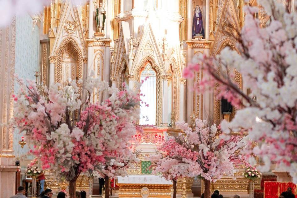 Árboles para iglesia-salón