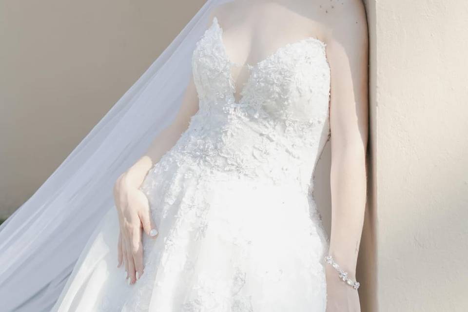 EUCALIPTO Vera WangxPronovias