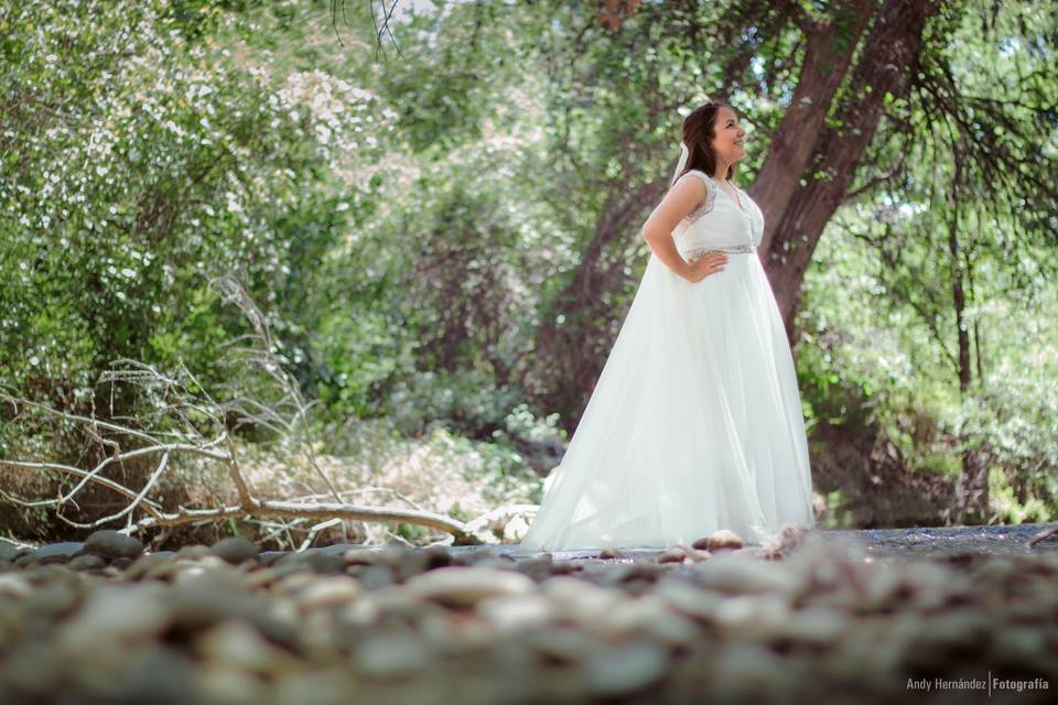 Trash the dress