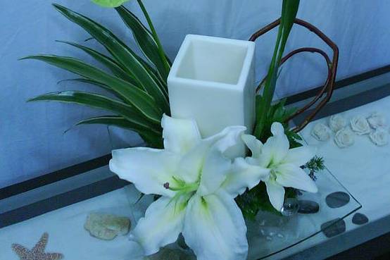 Cuidada presentación