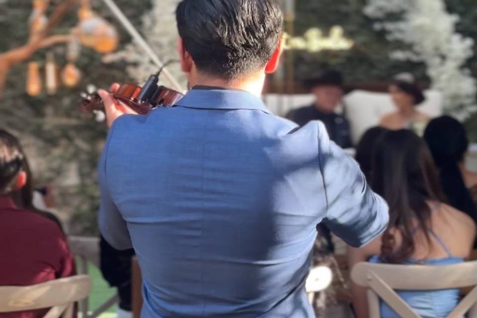Violinista Alexis