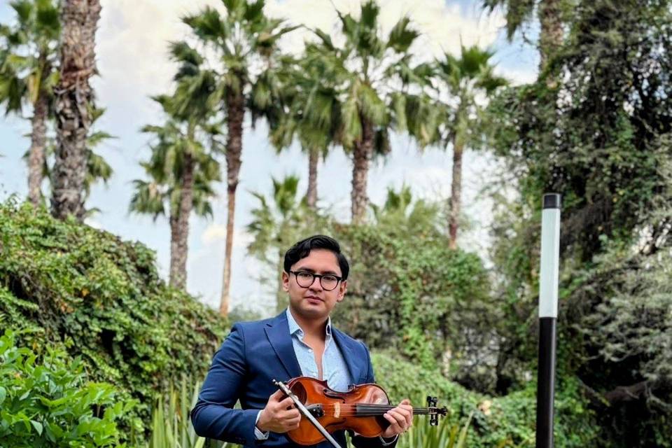 Violinista Alexis