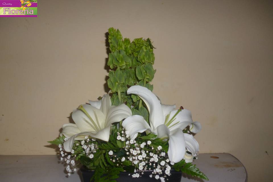 Flores Ángeles