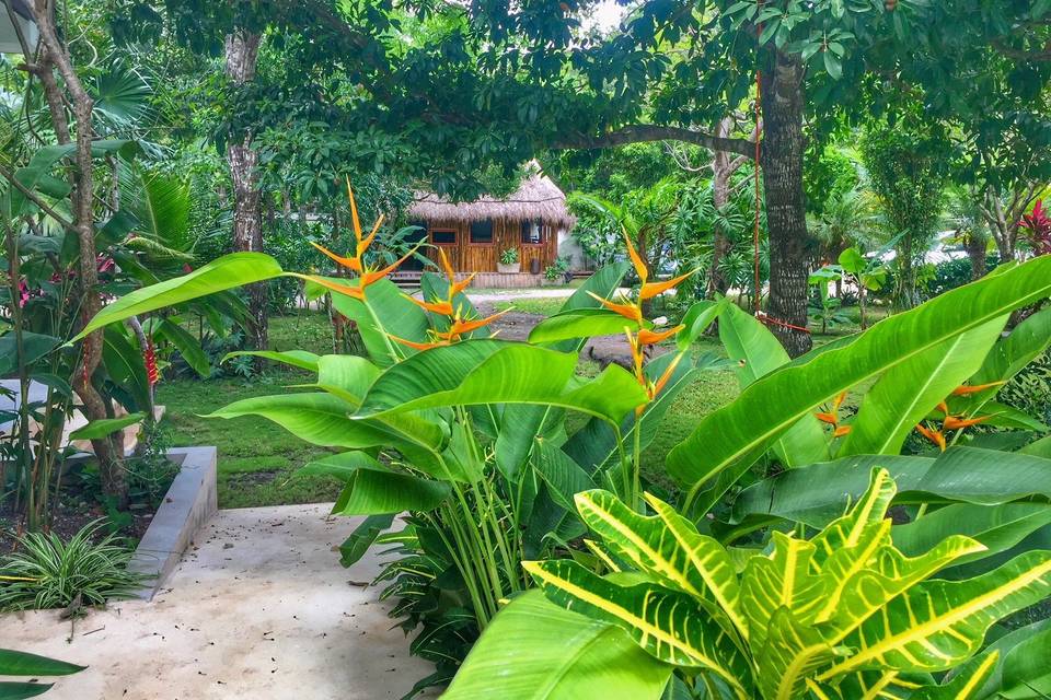 Jardin Tropical