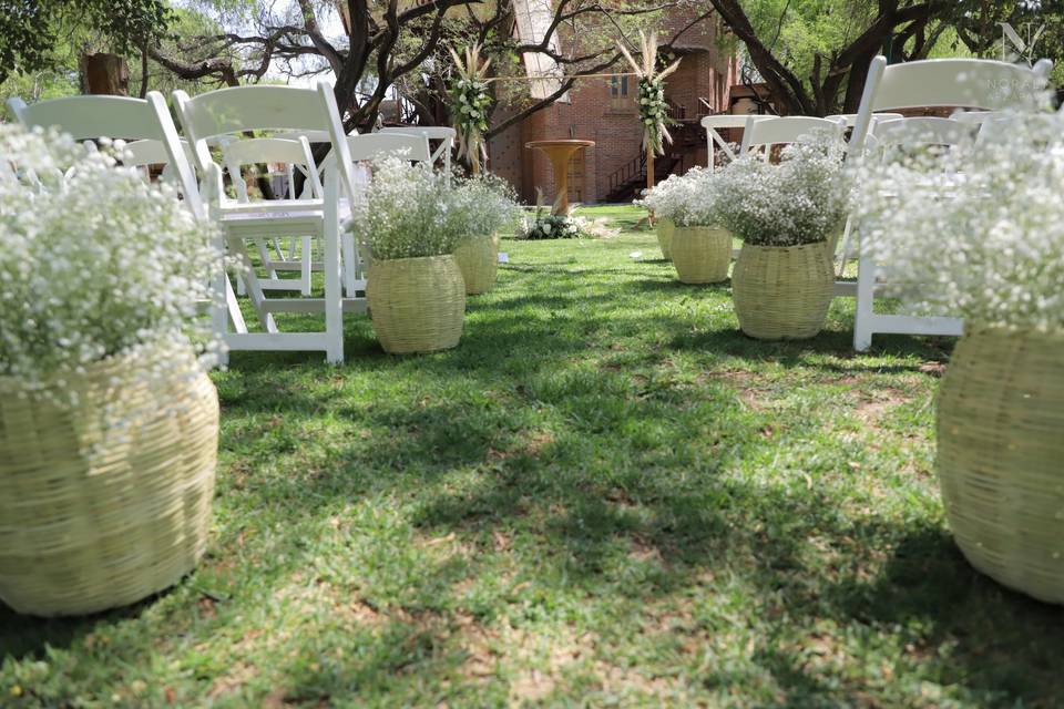 Pampa Grass Wedding