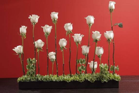 Innovadores diseños