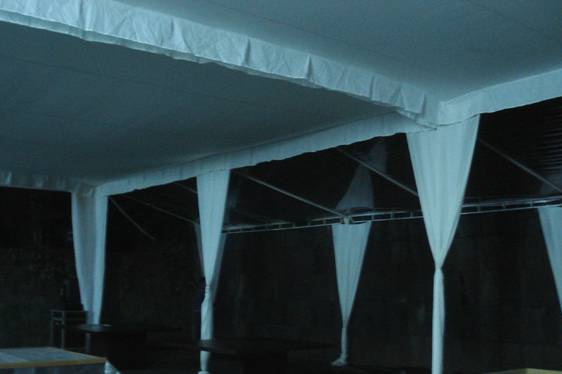 Interior carpa