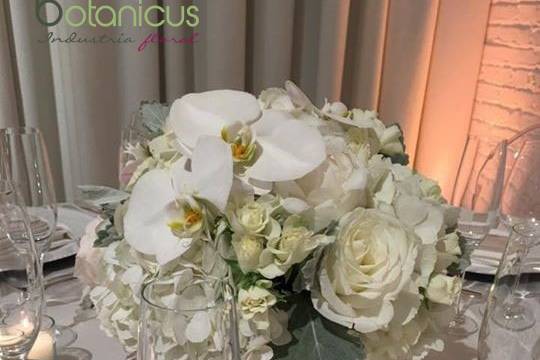 Botanicus Floral