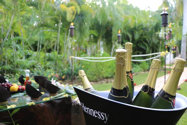 El brindis