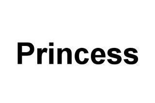 Princess logo