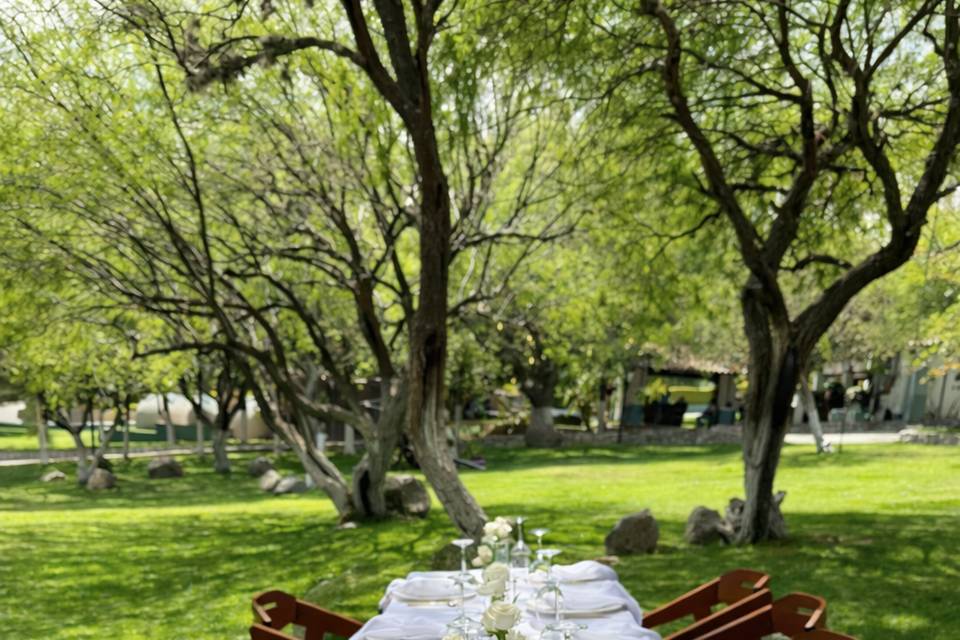 Boda civil - 30 personas
