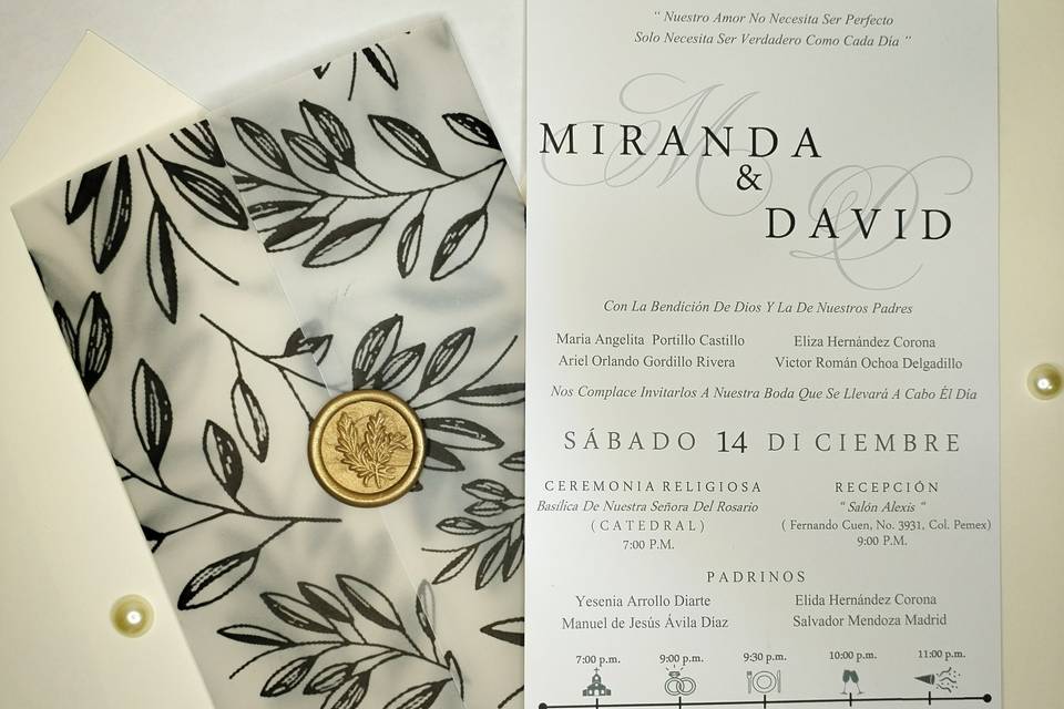 Modelo Miranda