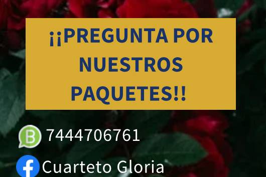 Pregunta por nuestros paquetes