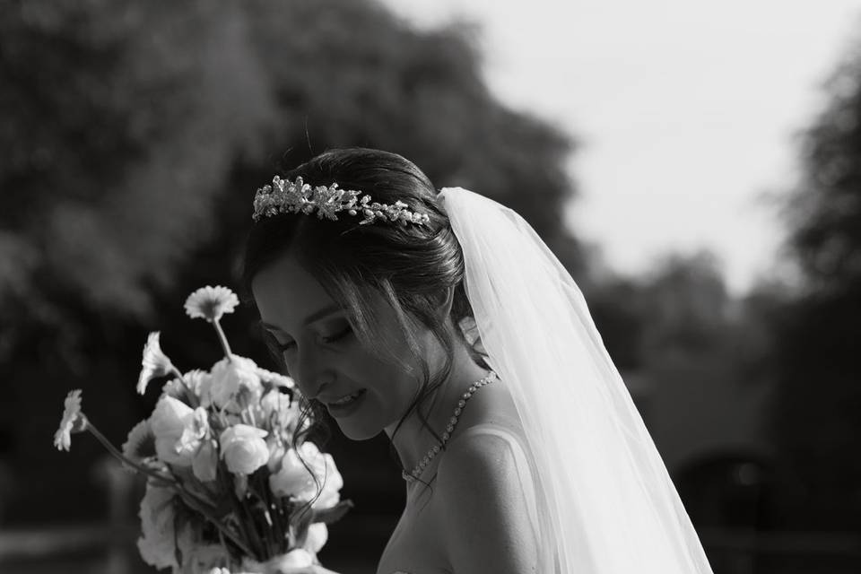 Novia Blanco y Negro