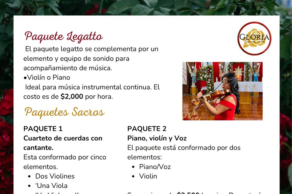 Paquetes