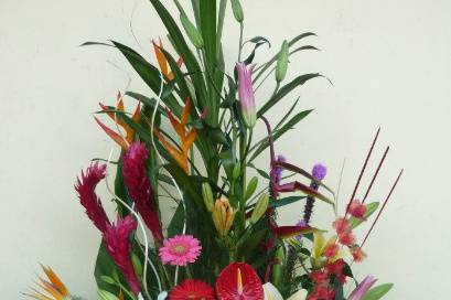 Florería Lilys Arellano