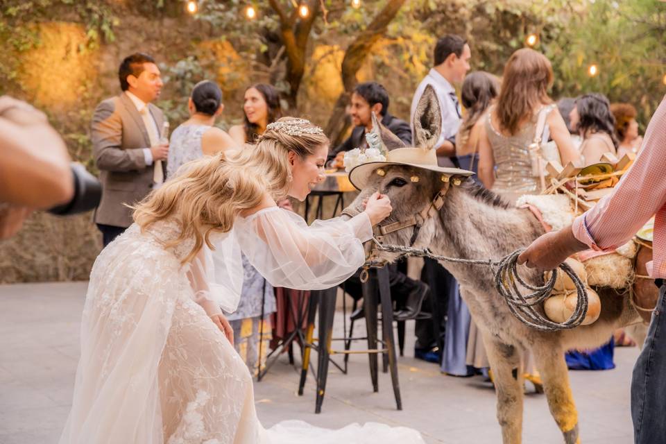 Boda