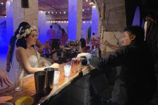 Alpha Bartender