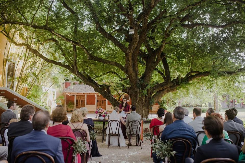 Hermoso venue al atardecer