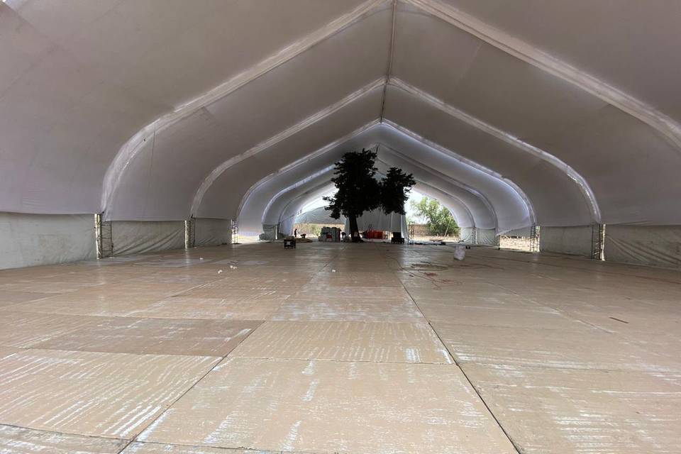 Carpa y entarimado