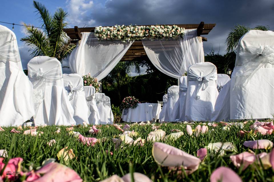 Alfombra de rosas