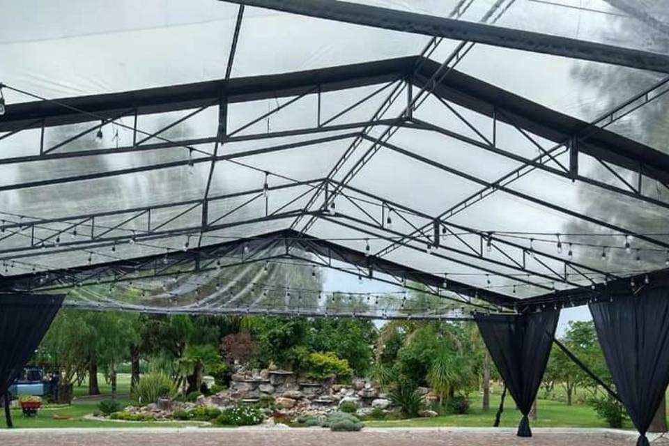 Carpa transparente