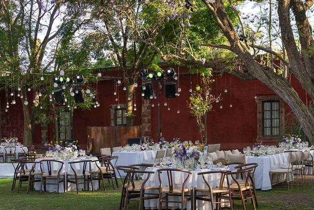 Jardín jacarandas
