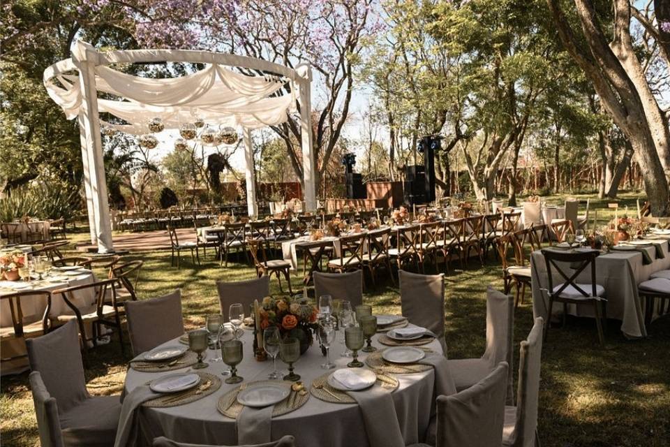 JACARANDAS