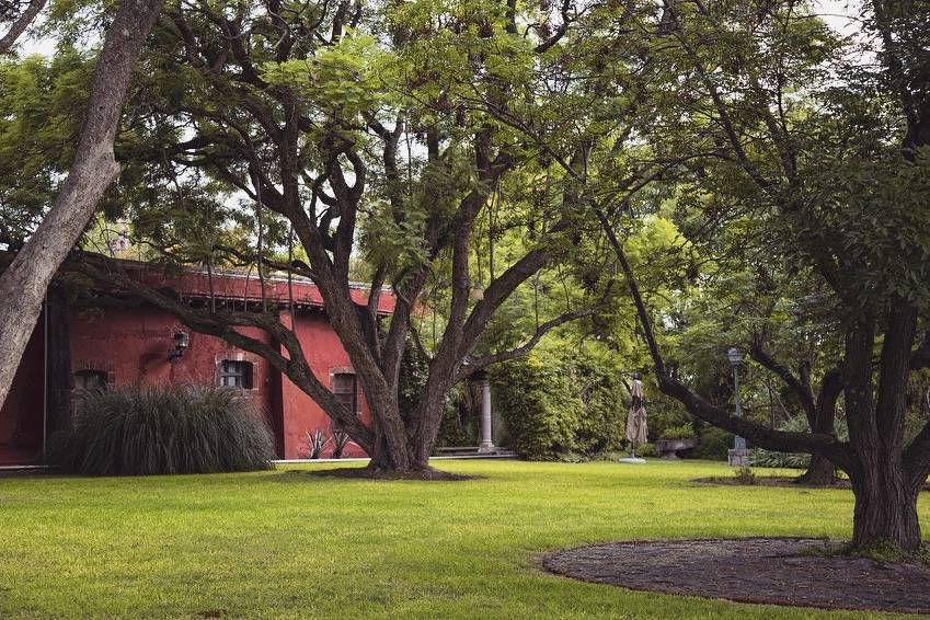 Jardín jacarandas