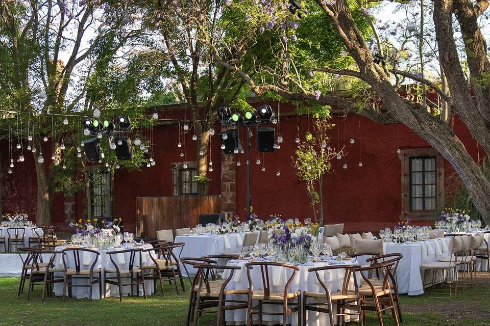 Jardín jacarandas