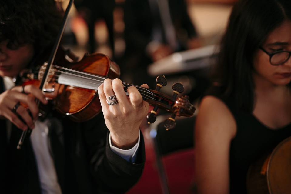 El arte de tocar el violín