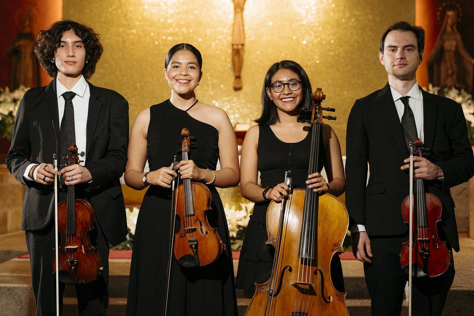 Violinistas