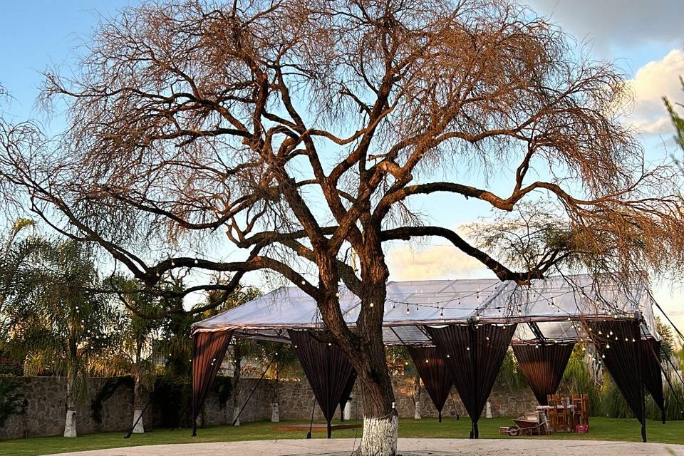 Jardín