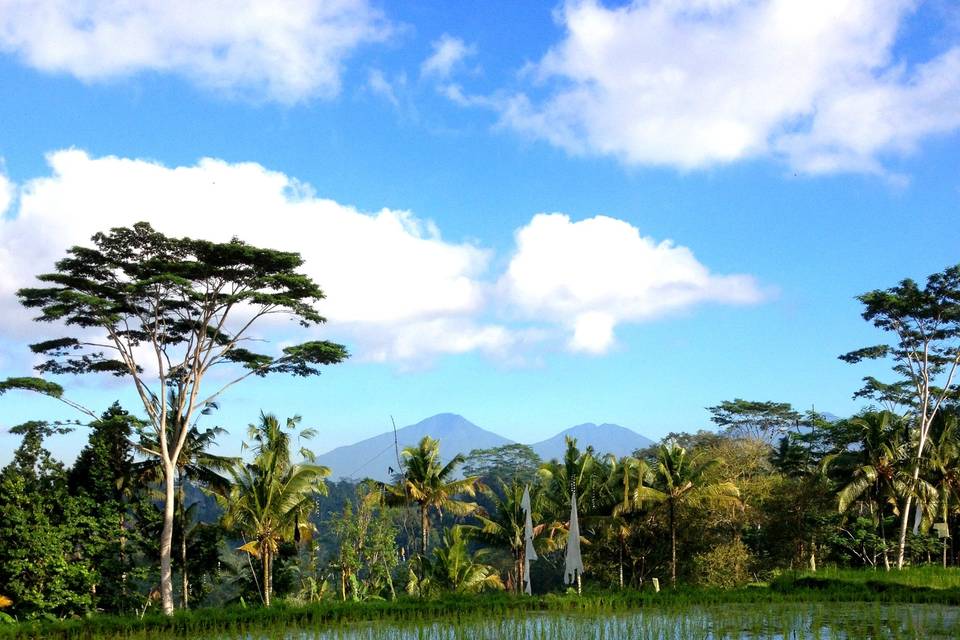 Ubud, Indonesia