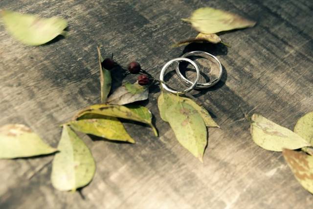 Los anillos
