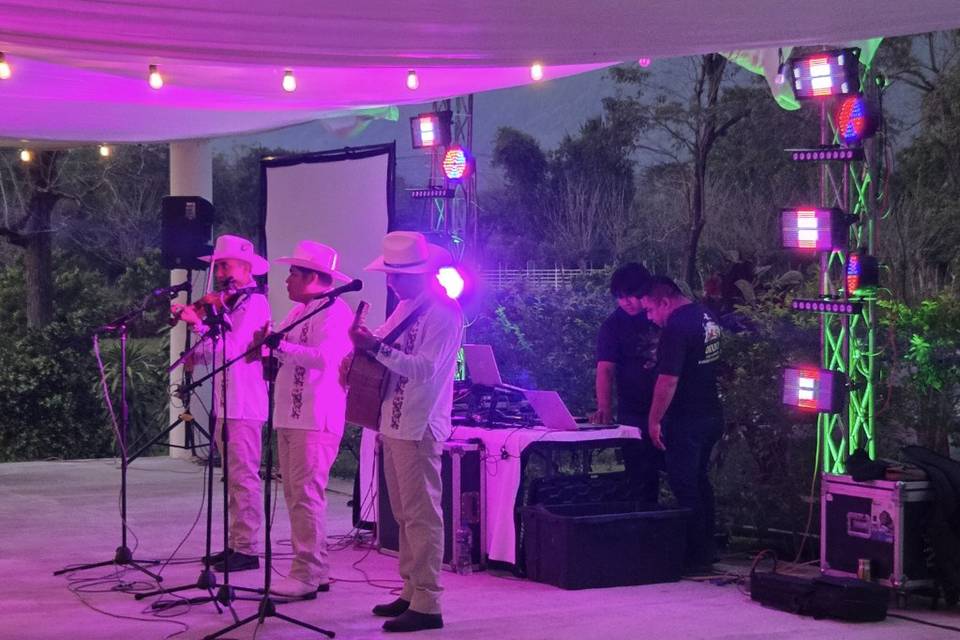 Sonido