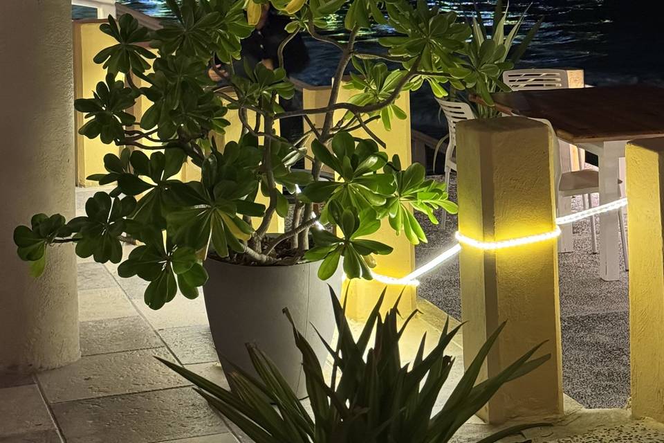 Vista nocturna