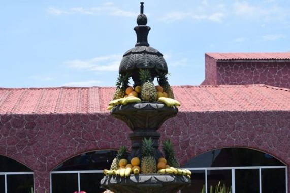Finca Maldonado