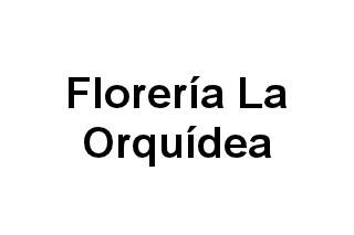 La orquídea