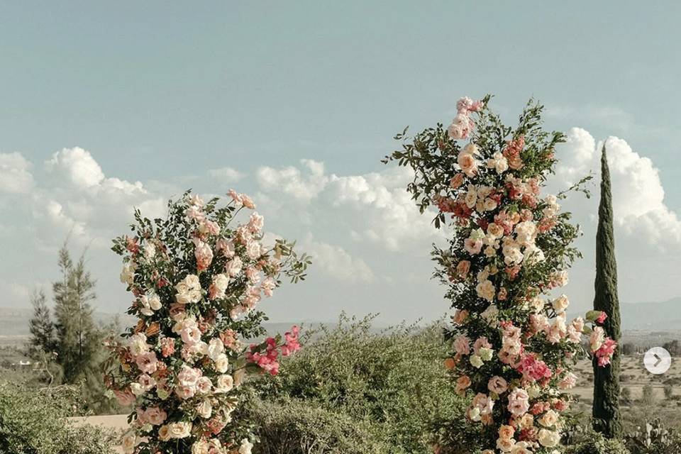 Bodas