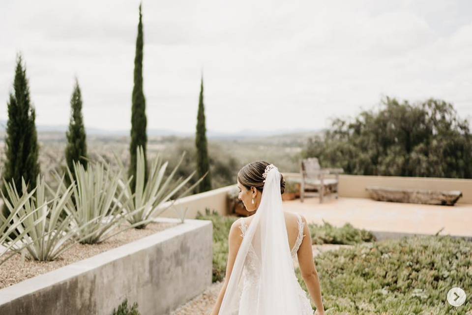 Bodas