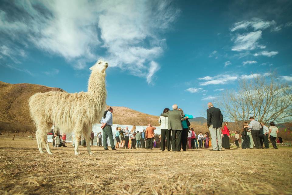 Destination wedding. Argentina