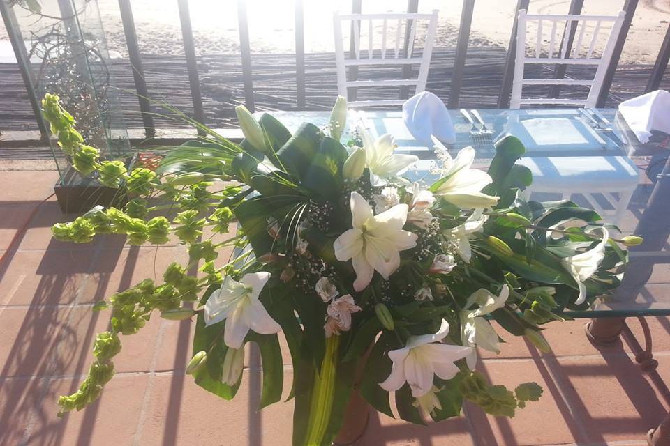 Florería Orquídea