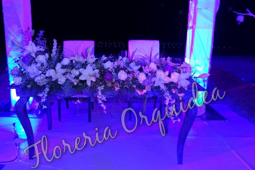 Florería Orquídea