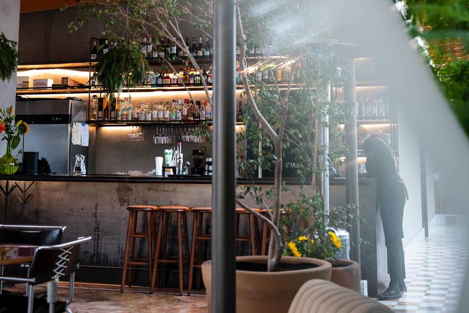 Hotel Dama
