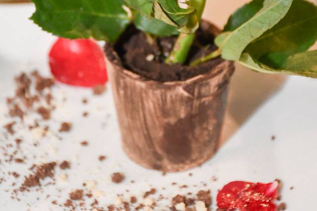 Postre maceta de rosa