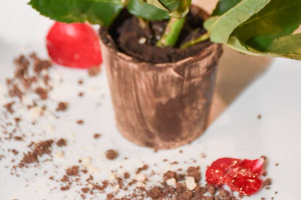 Postre maceta de rosa