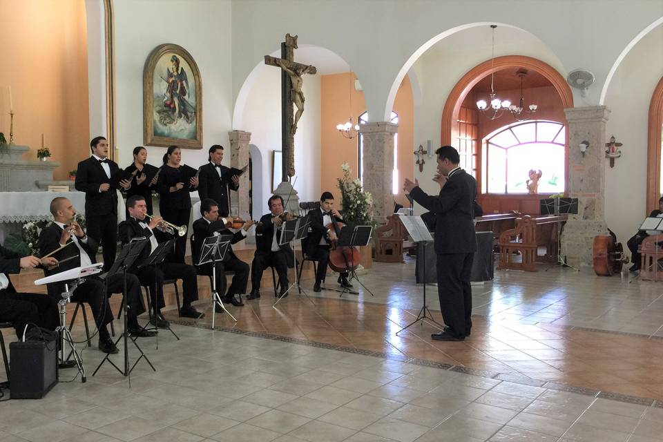 8 voces, 9 músicos y Director